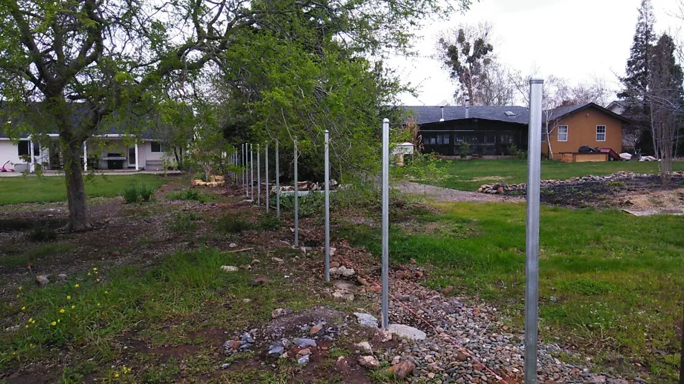 Ivan's Lavacap Project by Cox Fencing - Photo 13