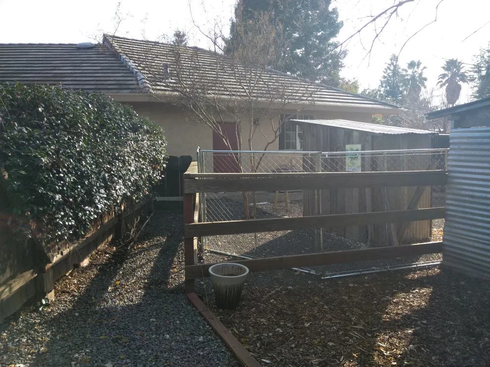 Jamie and Josie's Task by Cox Fencing - Photo 10