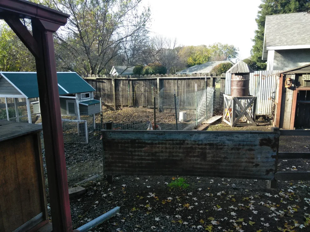 Jamie and Josie's Task by Cox Fencing - Photo 5