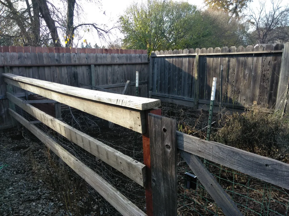 Jamie and Josie's Task by Cox Fencing - Photo 14
