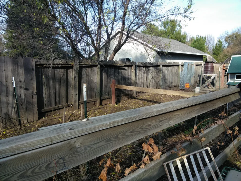 Jamie and Josie's Task by Cox Fencing - Photo 18