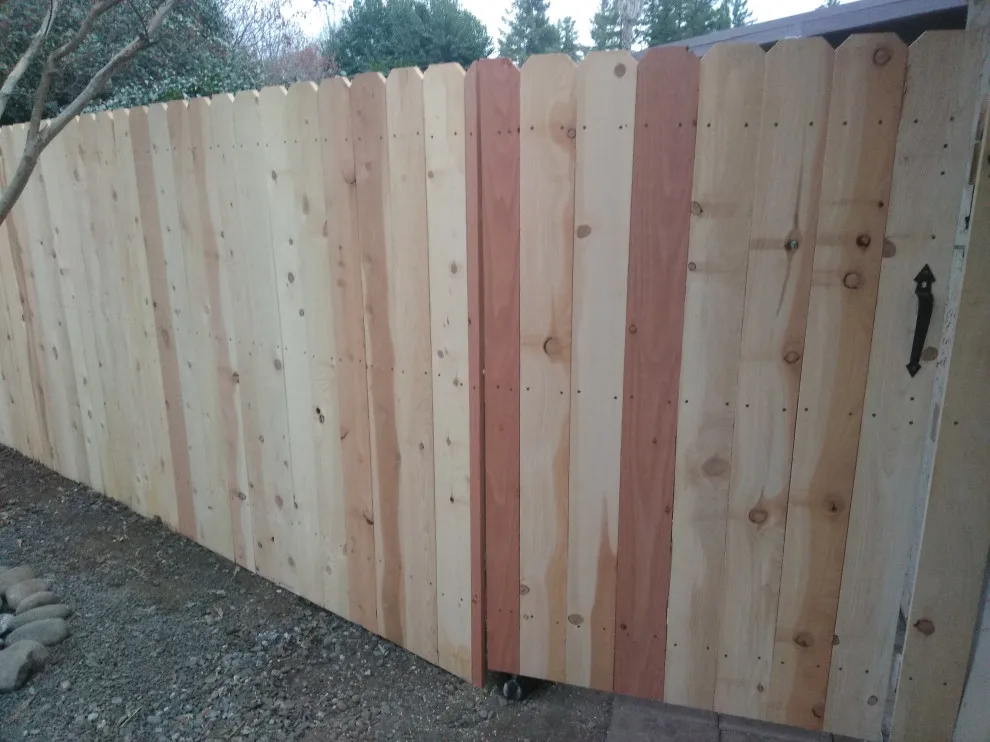 Jamie and Josie's Task by Cox Fencing - Photo 8
