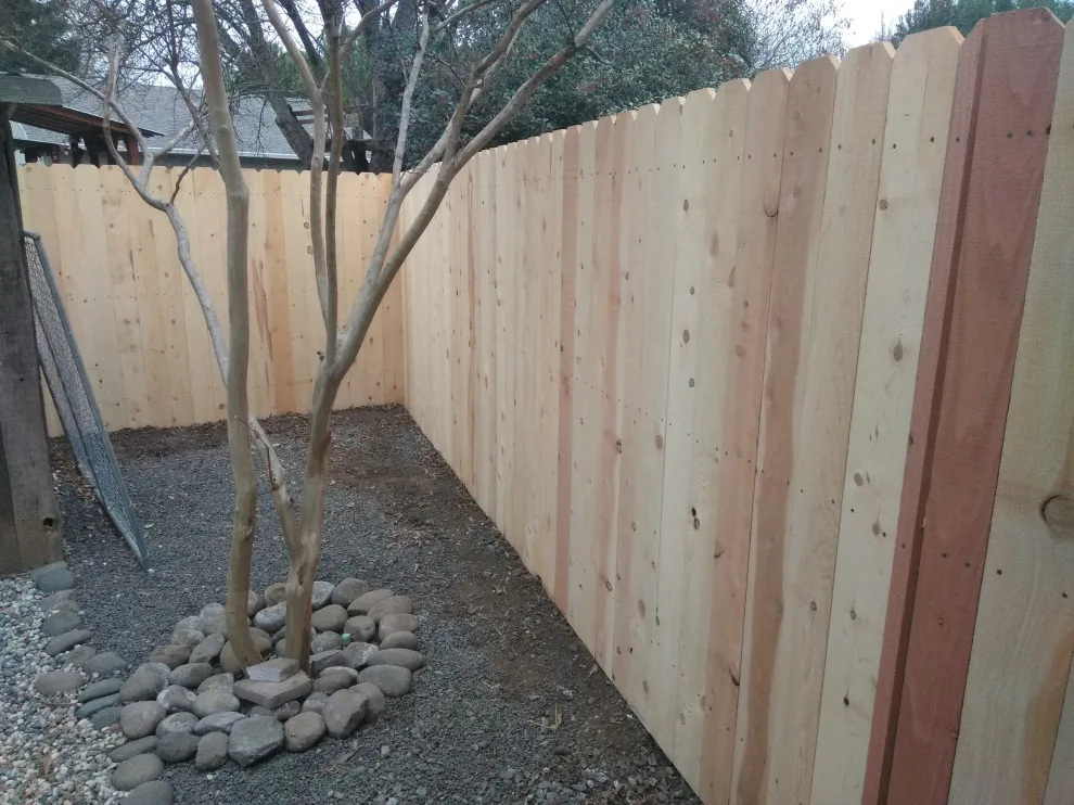 Jamie and Josie's Task by Cox Fencing - Photo 13