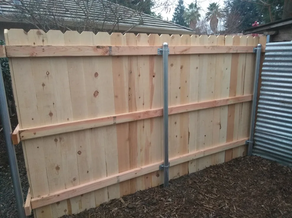 Jamie and Josie's Task by Cox Fencing - Photo 21