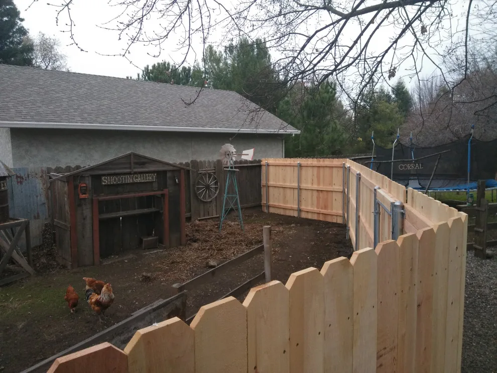 Jamie and Josie's Task by Cox Fencing - Photo 6