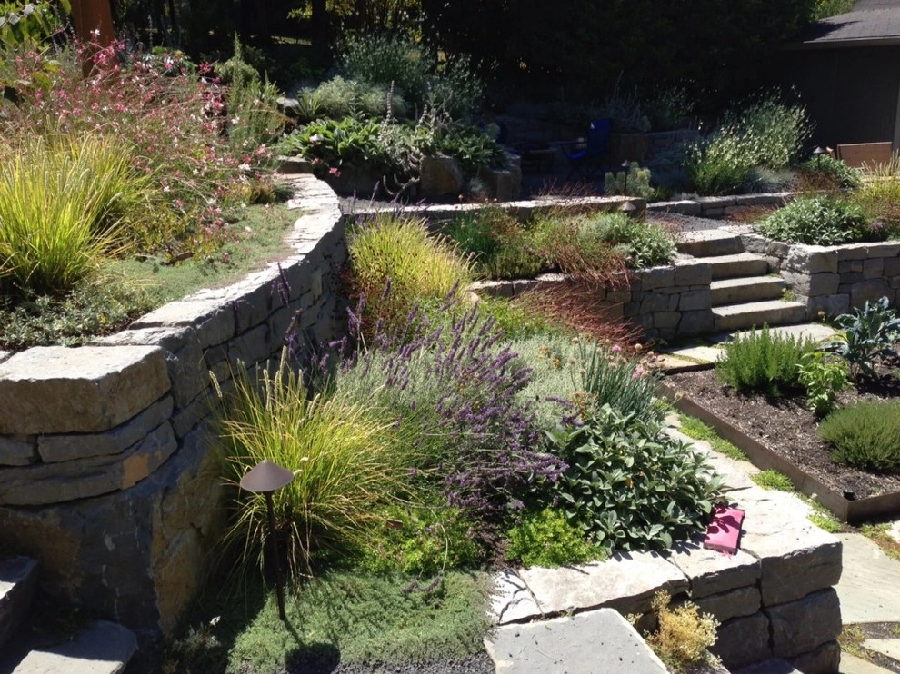 Audubon Certified Backyard Habitat by The Figure Ground Studio, LLC - Photo 3