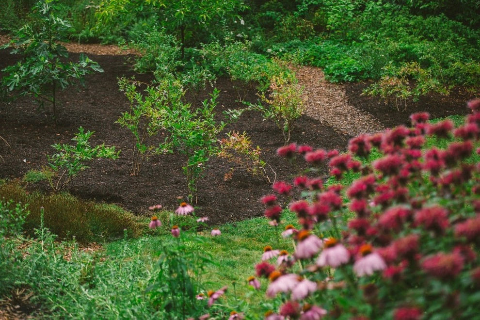 Audubon Certified Backyard Habitat by The Figure Ground Studio, LLC - Photo 9
