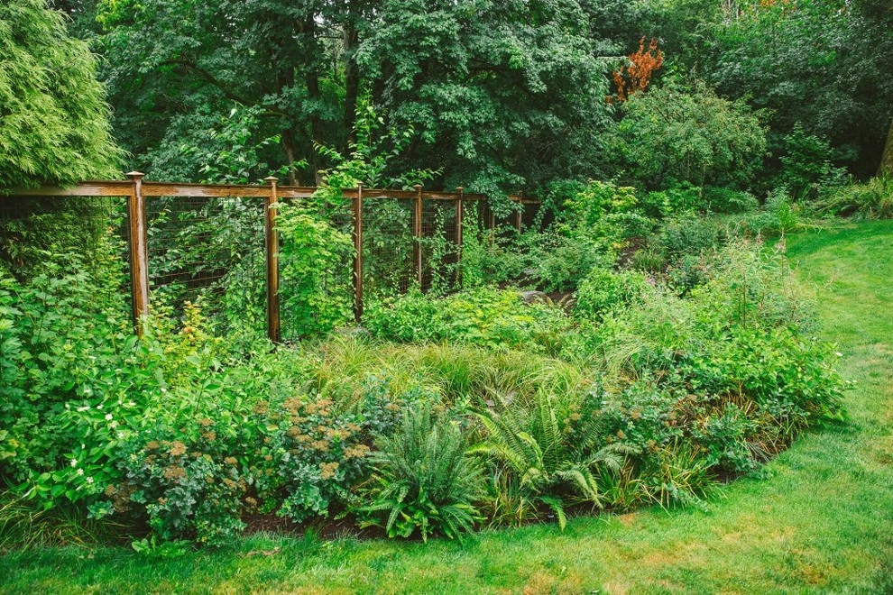 Audubon Certified Backyard Habitat by The Figure Ground Studio, LLC - Photo 17