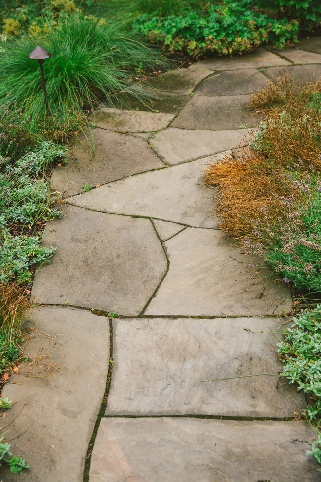 Audubon Certified Backyard Habitat by The Figure Ground Studio, LLC - Photo 11