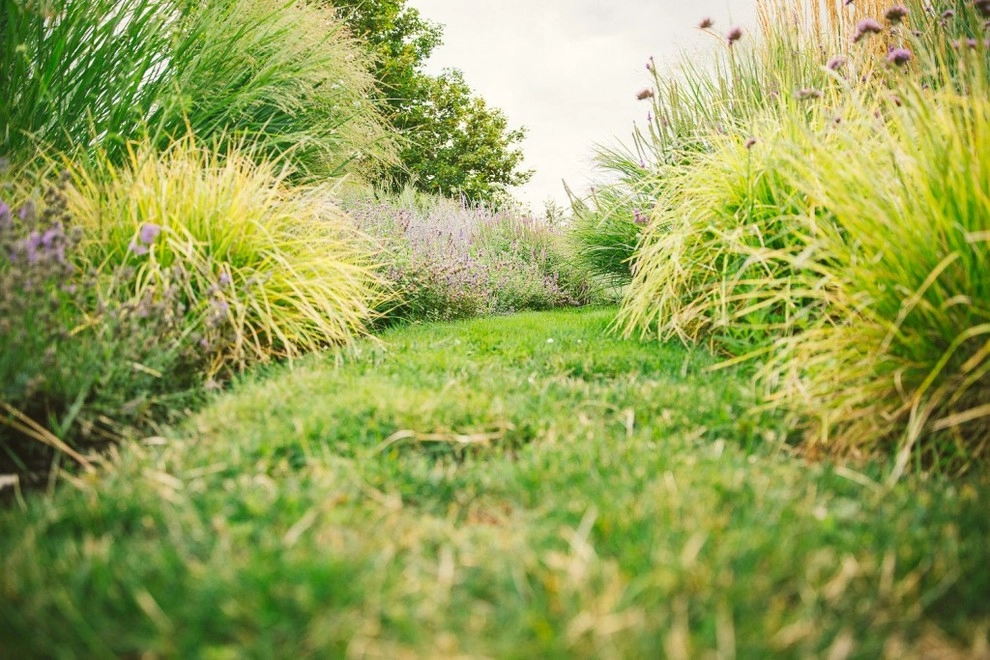 Sherwood Farmstead by The Figure Ground Studio, LLC - Photo 9