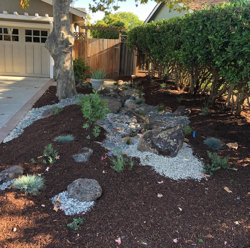 Featured Projects by Bay Maples Wild California Gardens - Photo 38