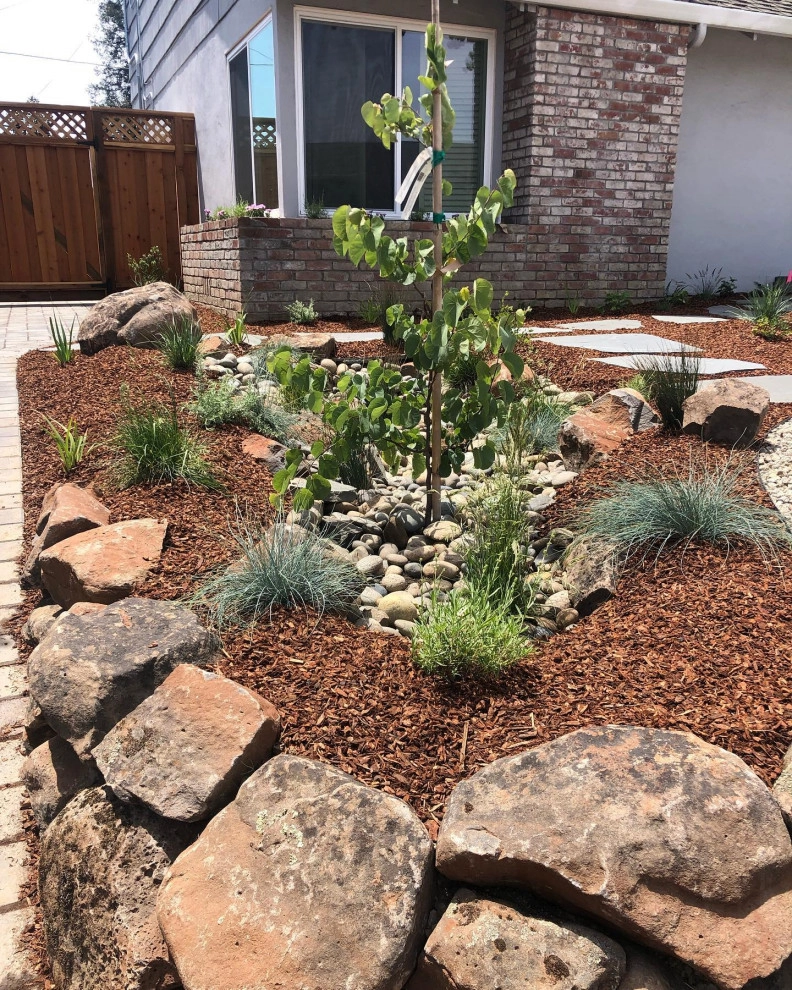 Featured Projects by Bay Maples Wild California Gardens - Photo 32