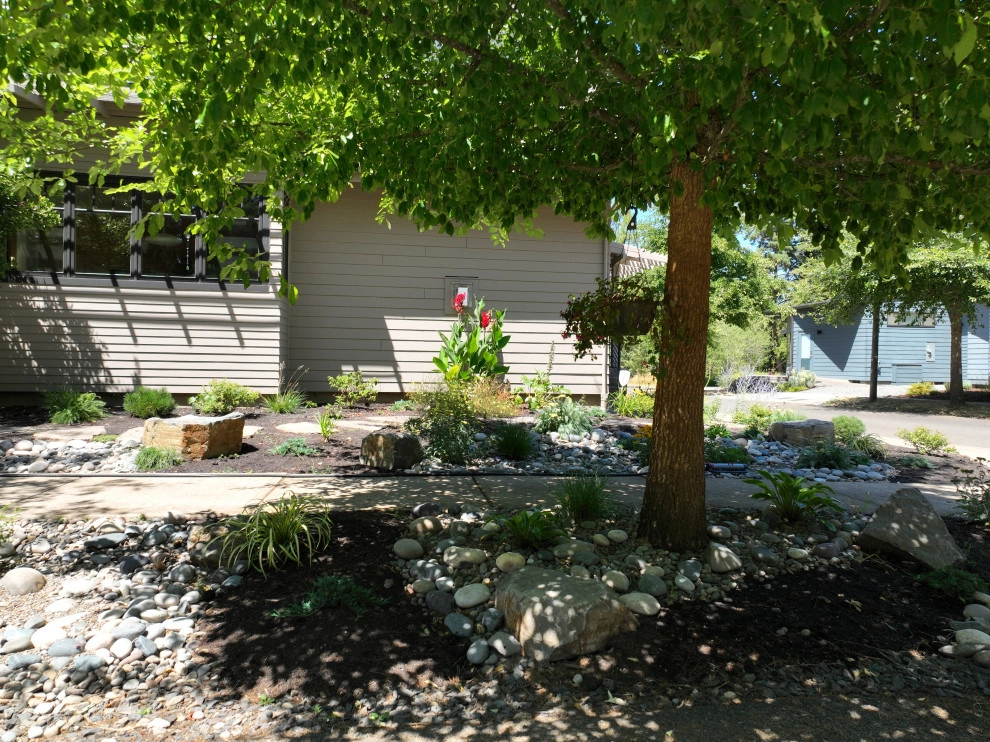 Songbird & Pollinator Garden by The Garden Angels Landscape Design & Consulting - Photo 9