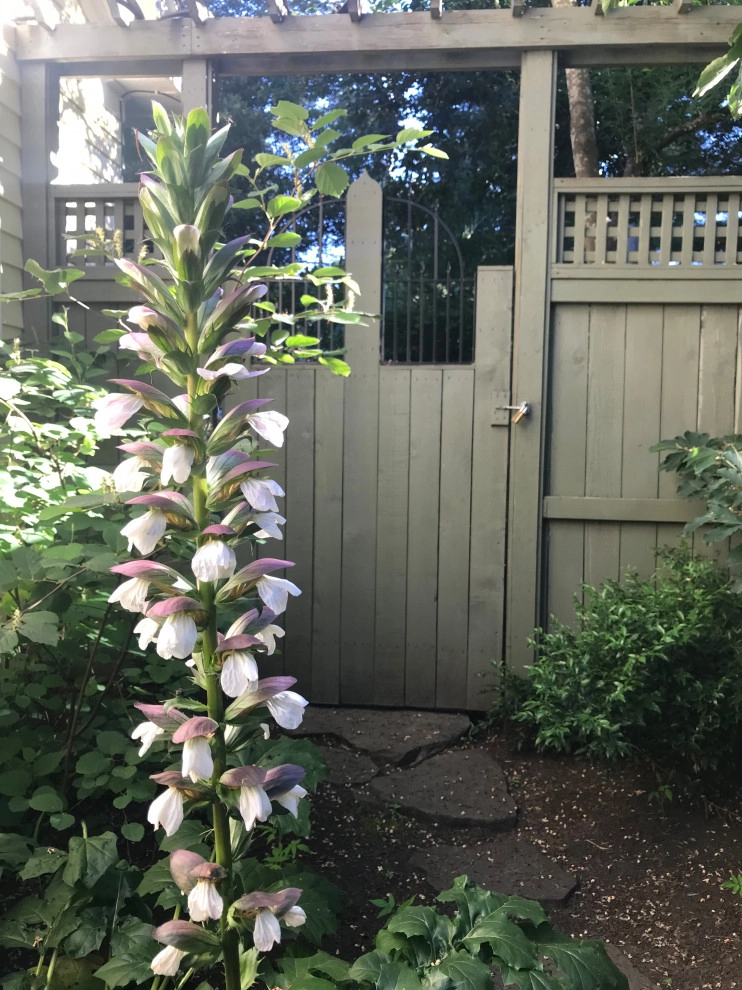 Madrona Pocket - A Designer's Display Garden by The Garden Angels Landscape Design & Consulting - Photo 11