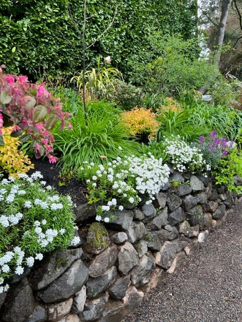 Madrona Pocket - A Designer's Display Garden by The Garden Angels Landscape Design & Consulting - Photo 10