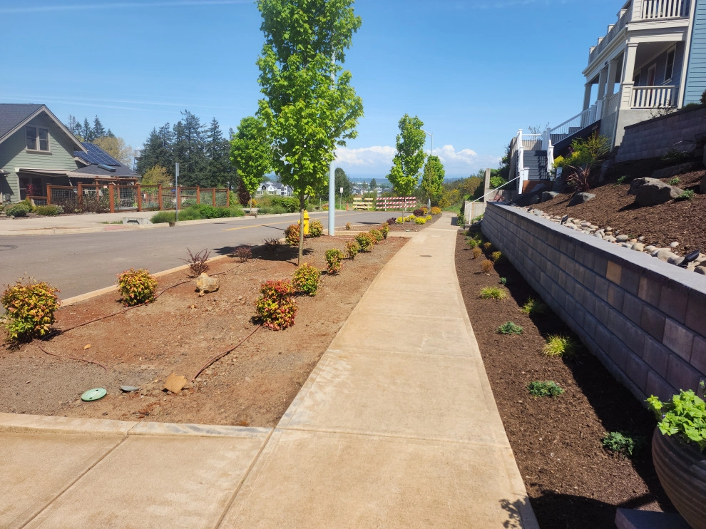 Precipitous Slope Treatment by The Garden Angels Landscape Design & Consulting - Photo 2