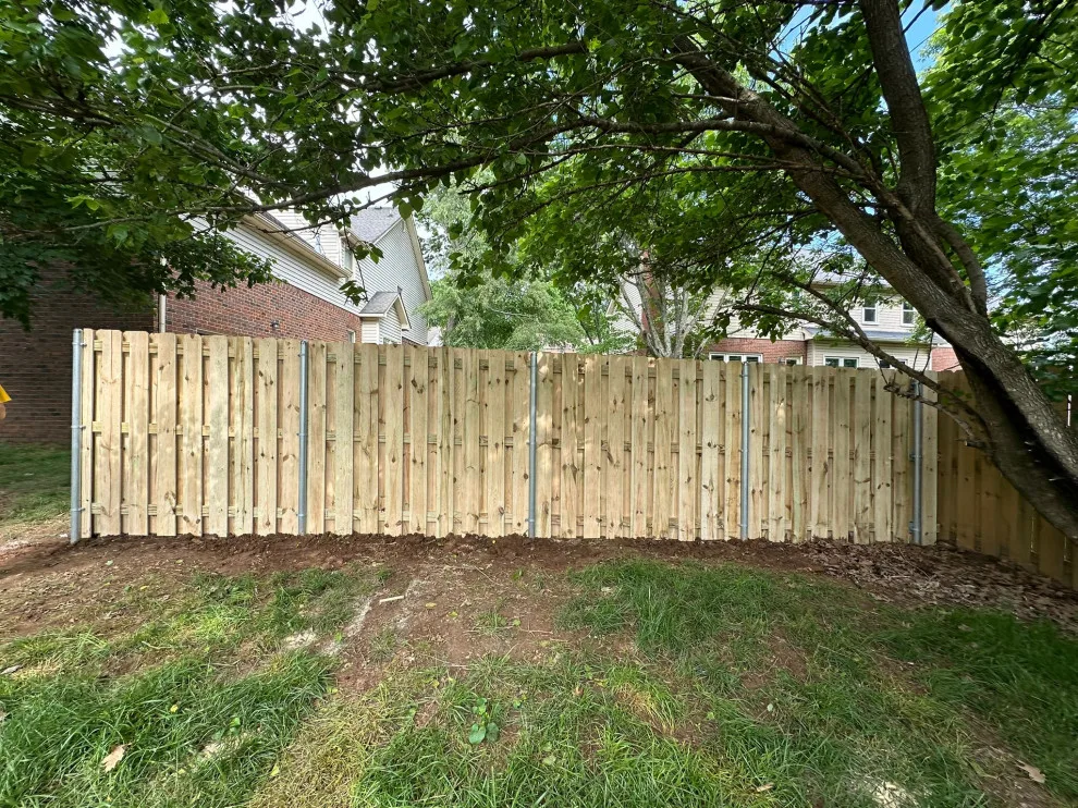 Fresh Initiative by Morales Fence Installation & Repair - Photo 75