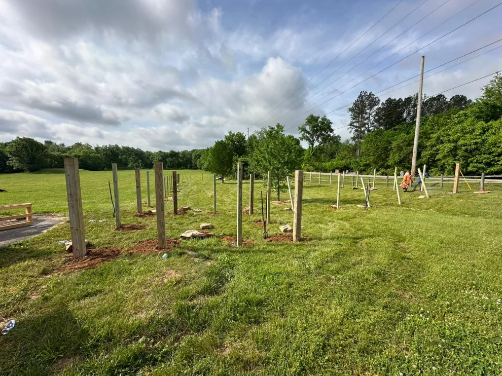 Fresh Initiative by Morales Fence Installation & Repair - Photo 12