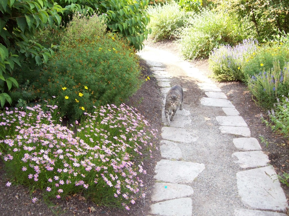 A Country Garden Landscape Design by The Garden Angels Landscape Design & Consulting - Photo 4