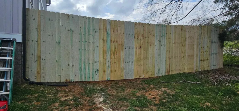 Fresh Initiative by Morales Fence Installation & Repair - Photo 48