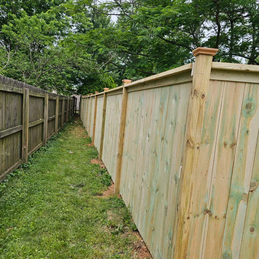 Fresh Initiative by Morales Fence Installation & Repair - Photo 82
