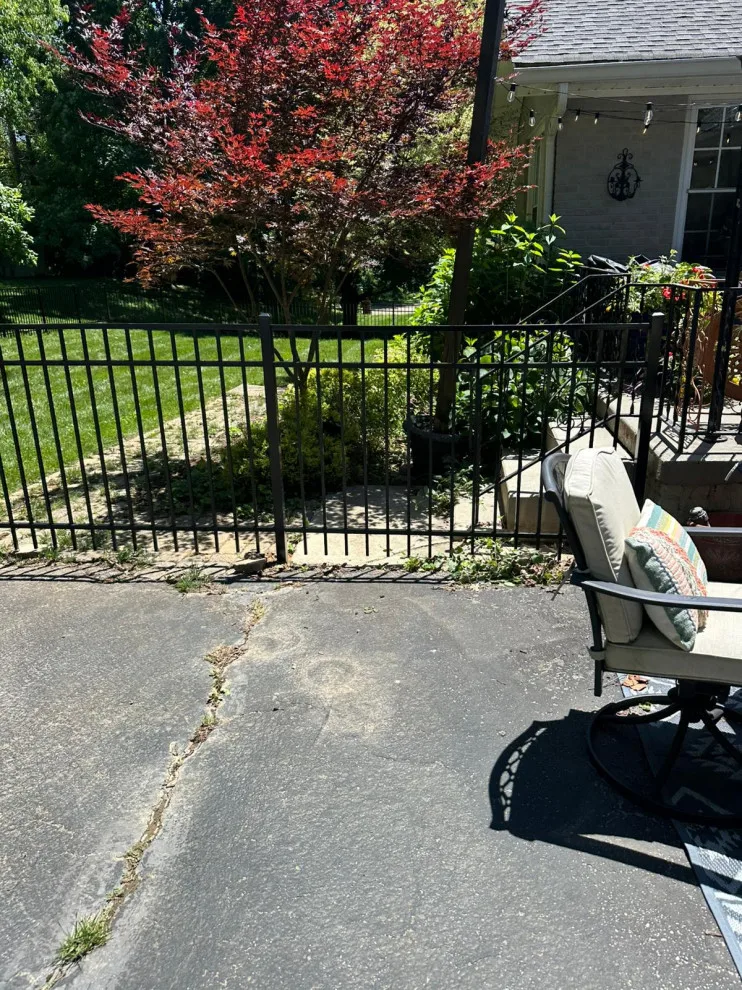 Fresh Initiative by Morales Fence Installation & Repair - Photo 95