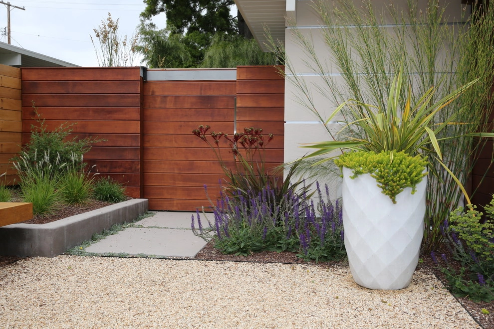 Palo Alto Eichler by The Garden Route Company - Photo 12