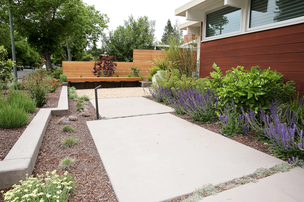 Palo Alto Eichler by The Garden Route Company - Photo 10