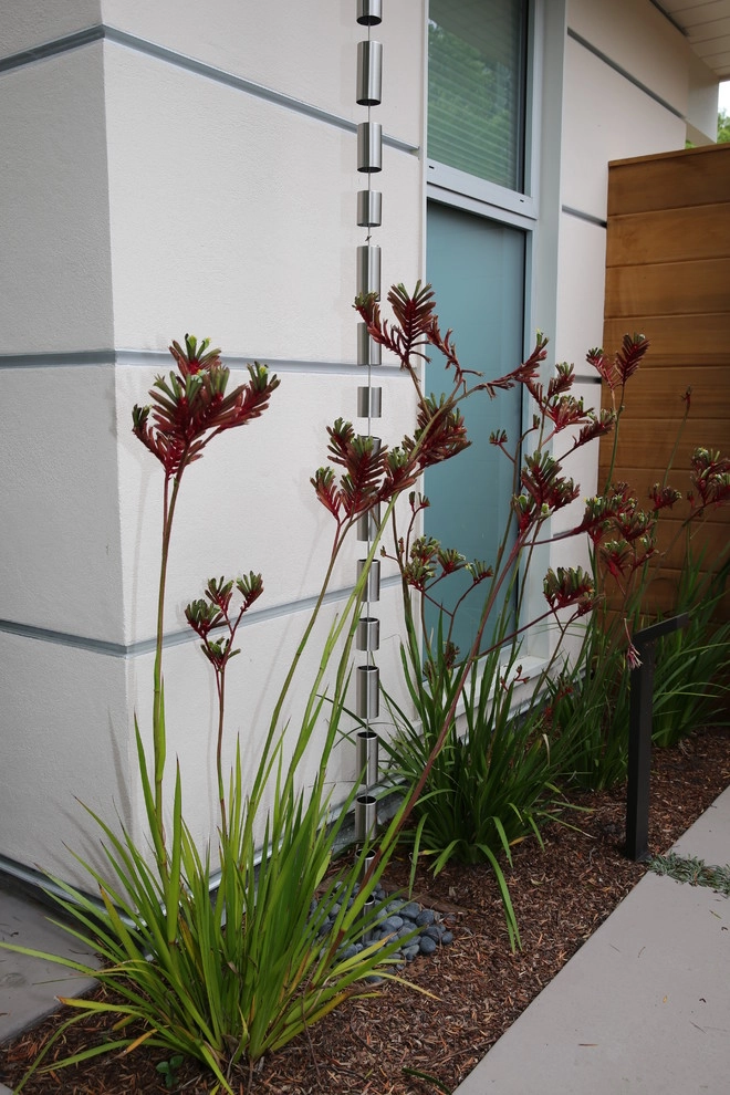 Palo Alto Eichler by The Garden Route Company - Photo 14