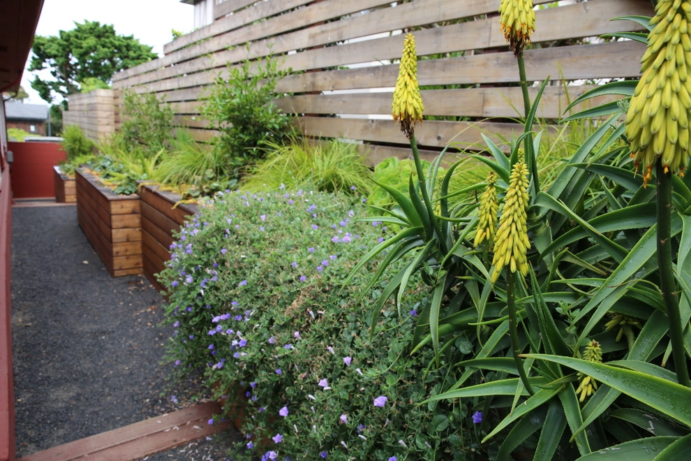 San Francisco Mid Century Revival by The Garden Route Company - Photo 15
