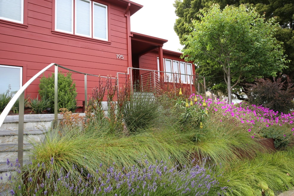 San Francisco Mid Century Revival by The Garden Route Company - Photo 4