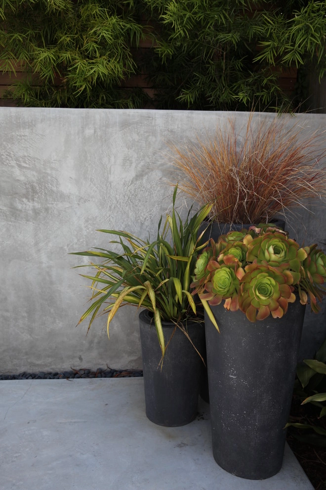 The Garden Route Company - Photo 11