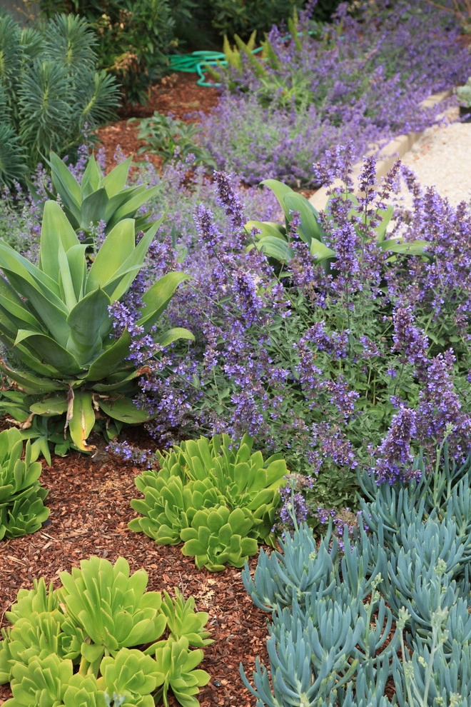 Hillsborough Entry Garden by The Garden Route Company - Photo 4