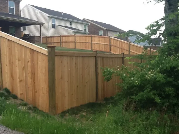 Royal Fence - Photo 14