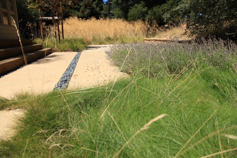 Portola Valley Ranch by The Garden Route Company - Photo 9