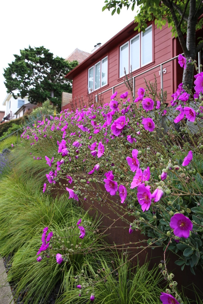 San Francisco Mid Century Revival by The Garden Route Company - Photo 25