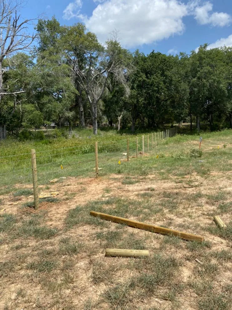 Image Archive by My Garage And Gates - Photo 23