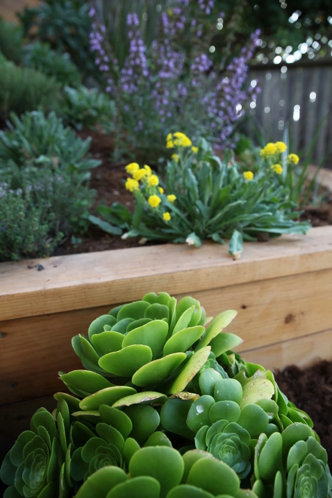City View Garden - Bernal Heights by The Garden Route Company - Photo 7