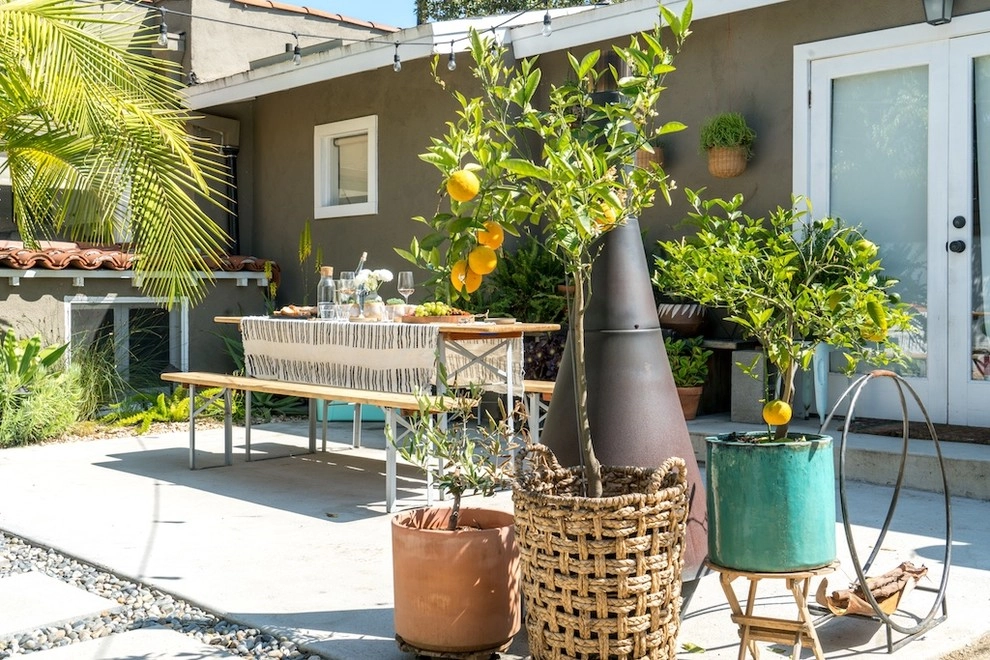 Mid-City Yard Made for Living by Becky Bourdeau Designs Inc - Photo 8