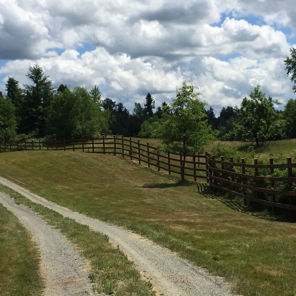 Rail Enclosure by Western Pacific Fence - Photo 4