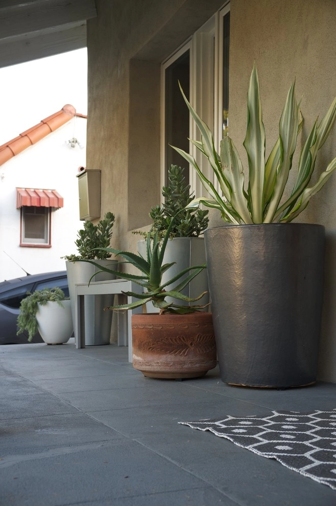 Los Feliz Modern Oasis by Becky Bourdeau Designs Inc - Photo 5