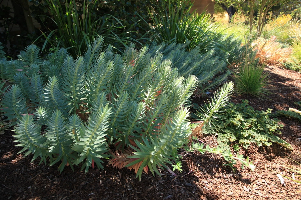 Portola Valley Ranch by The Garden Route Company - Photo 8