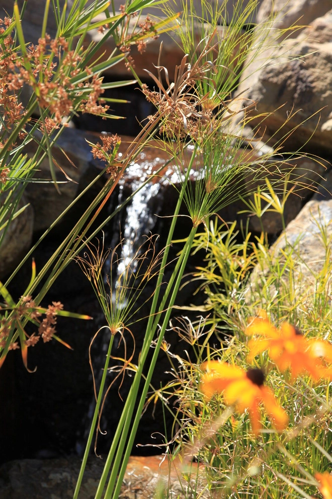 Portola Valley Ranch by The Garden Route Company - Photo 3