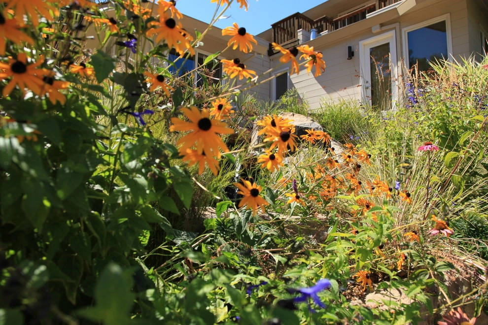 Portola Valley Ranch by The Garden Route Company - Photo 16