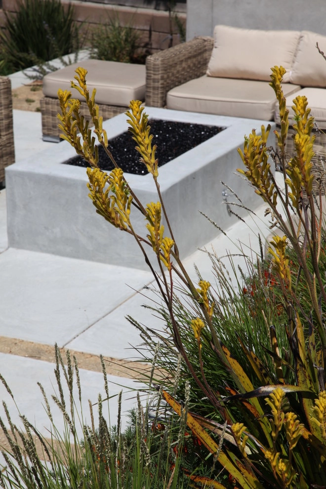 Mill Valley Modern by The Garden Route Company - Photo 3