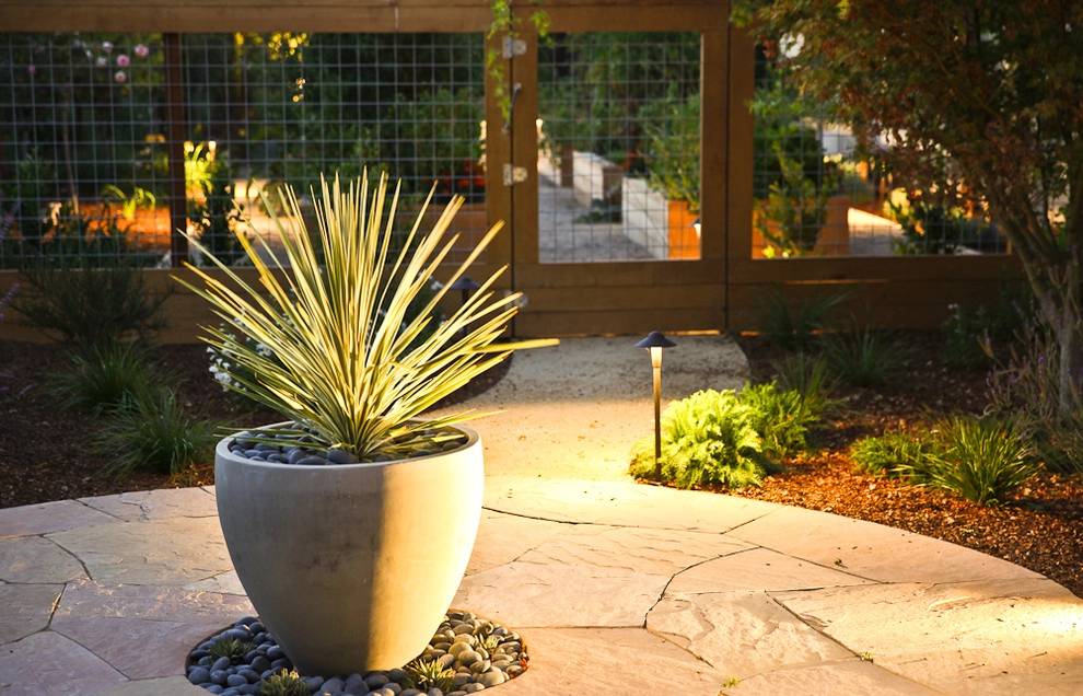 Sustainable Hillsborough Garden by The Garden Route Company - Photo 5
