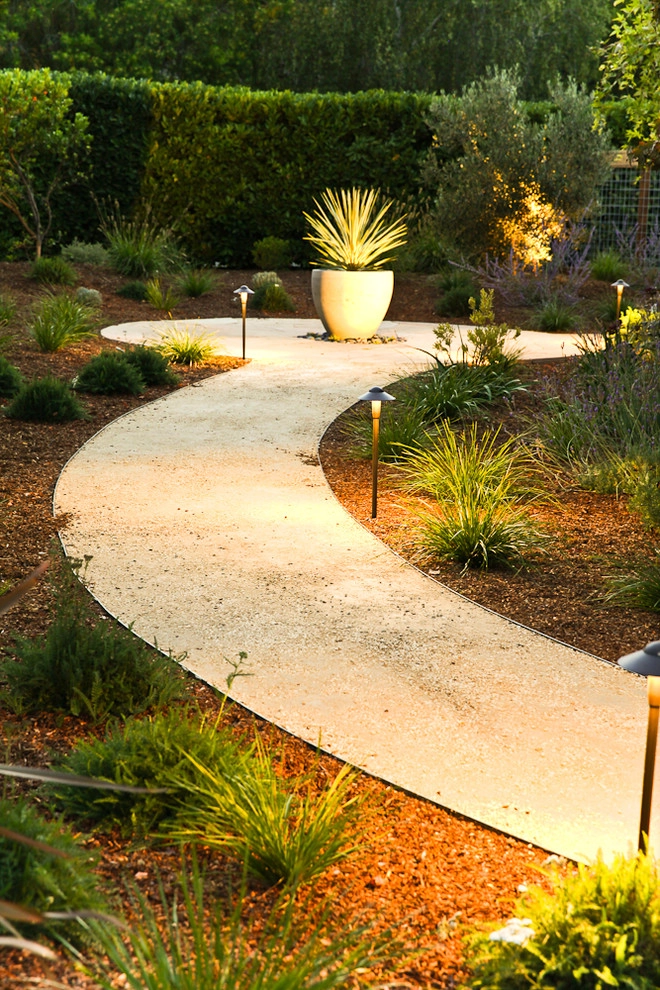 Sustainable Hillsborough Garden by The Garden Route Company - Photo 4