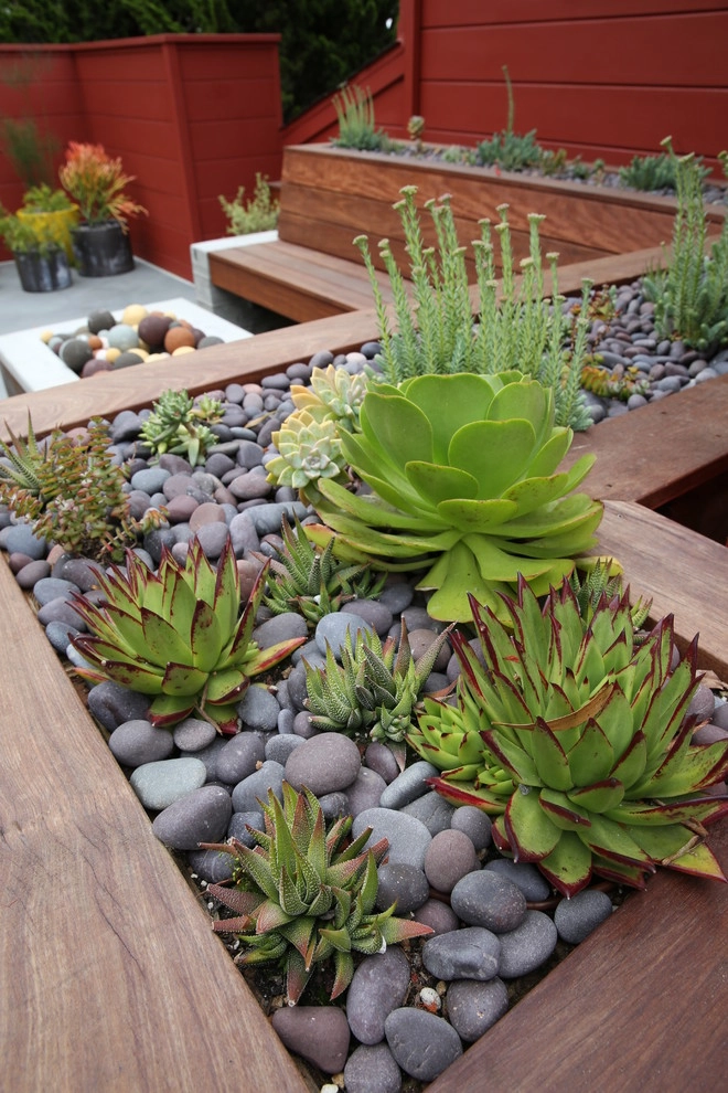San Francisco Mid Century Revival by The Garden Route Company - Photo 7