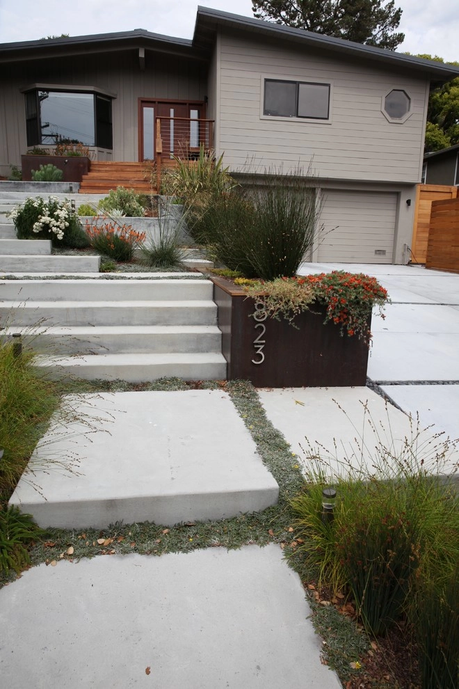 Modern Belmont Entry Garden by The Garden Route Company - Photo 4
