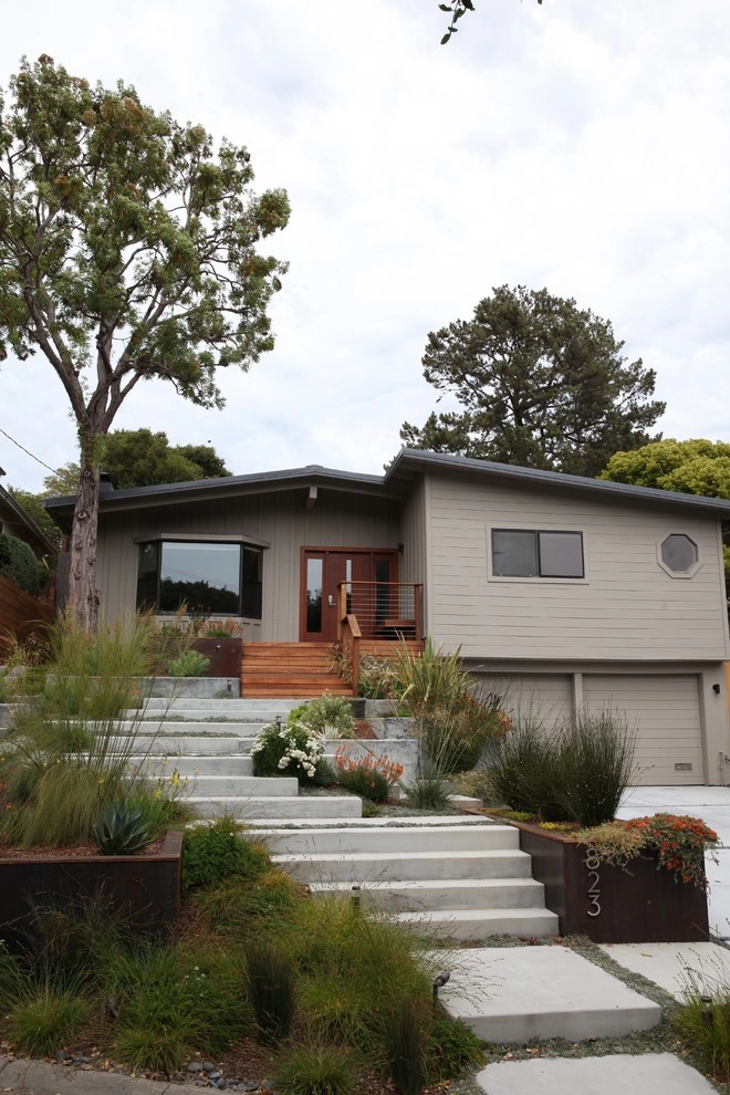 Modern Belmont Entry Garden by The Garden Route Company - Photo 5